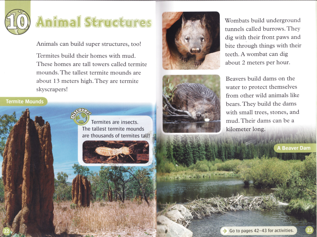Animal Structures