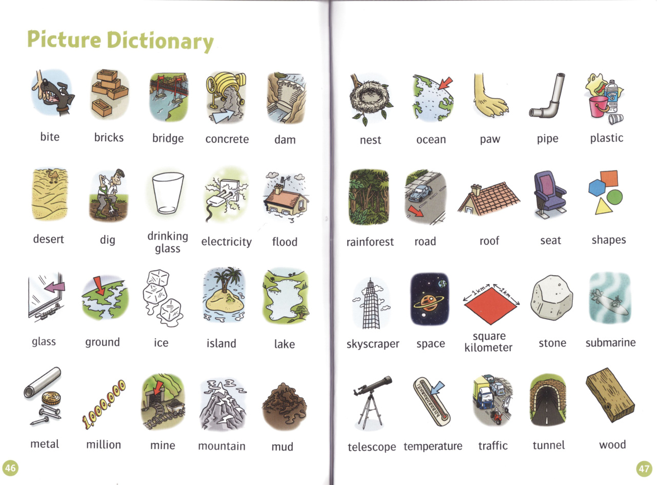Picture Dictionary