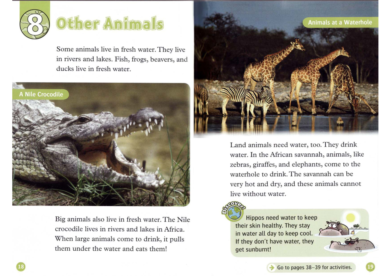 Other Animals