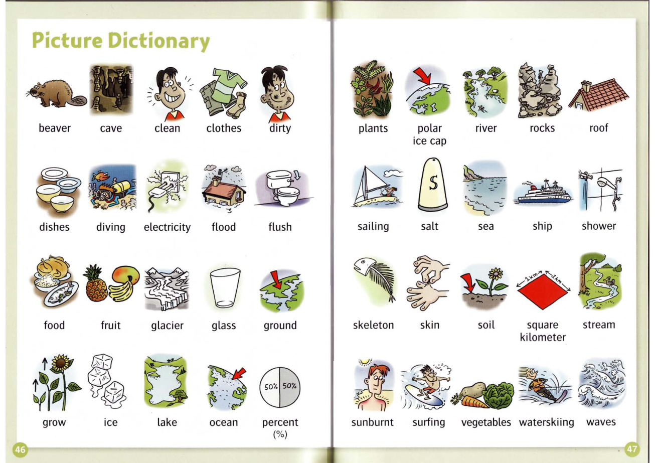 Picture Dictionary