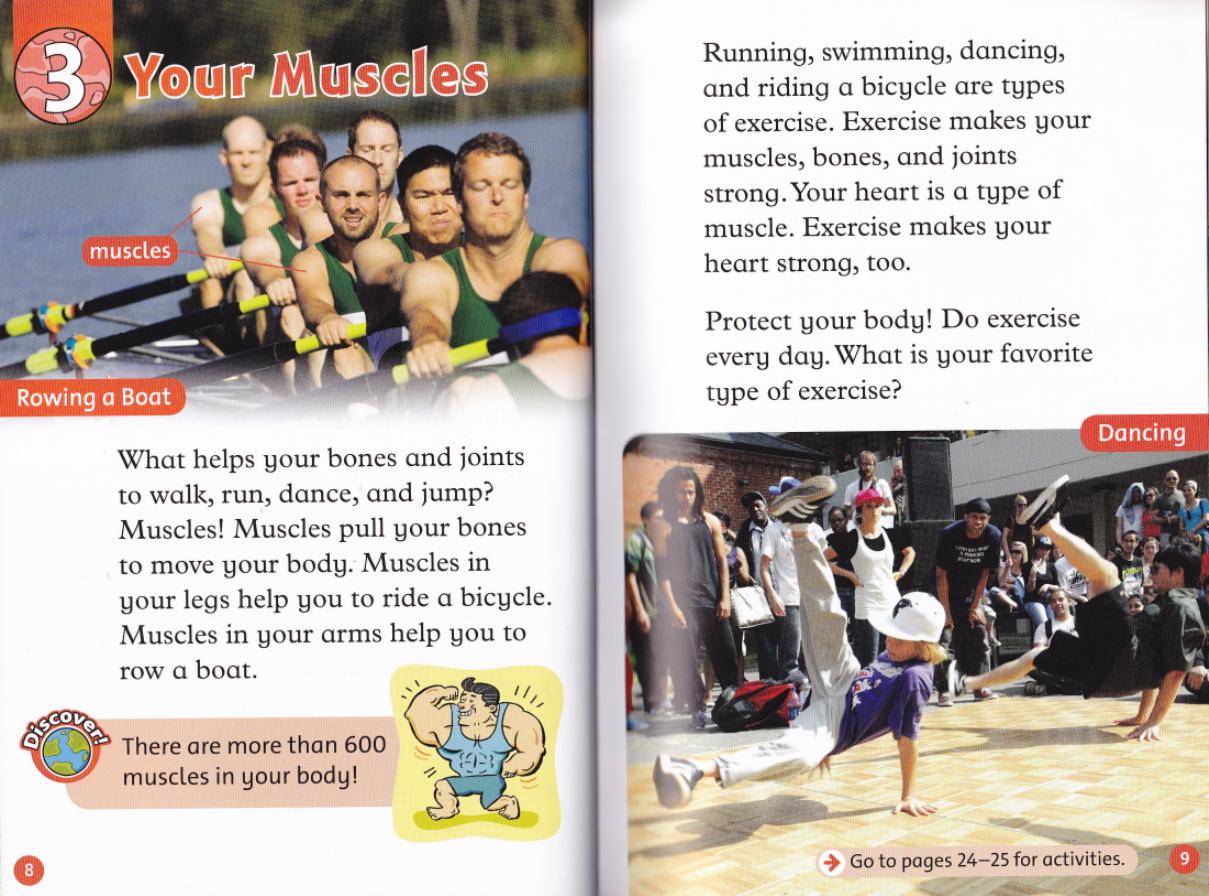 Your Muscles