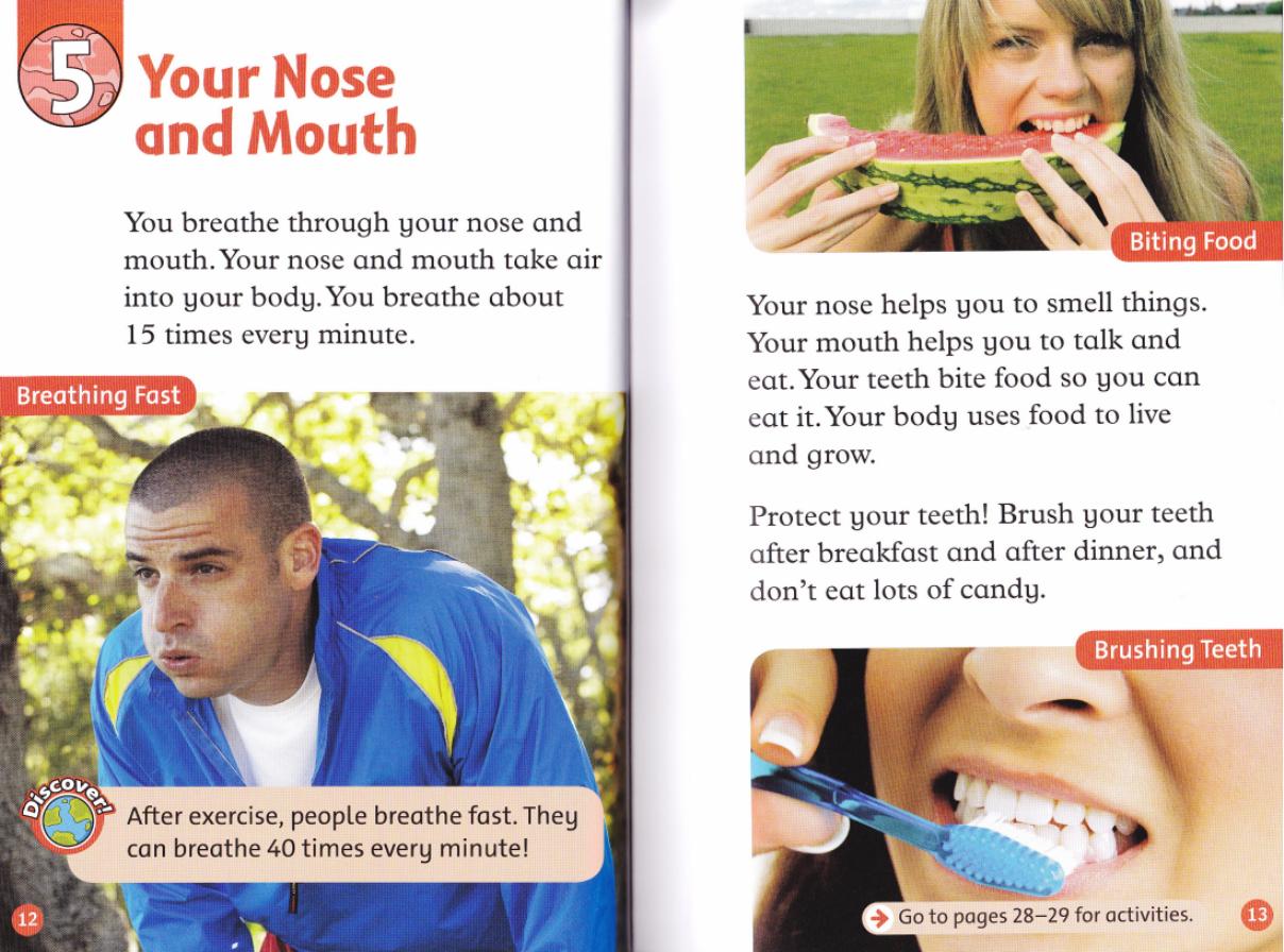 Your Nose and Mouth