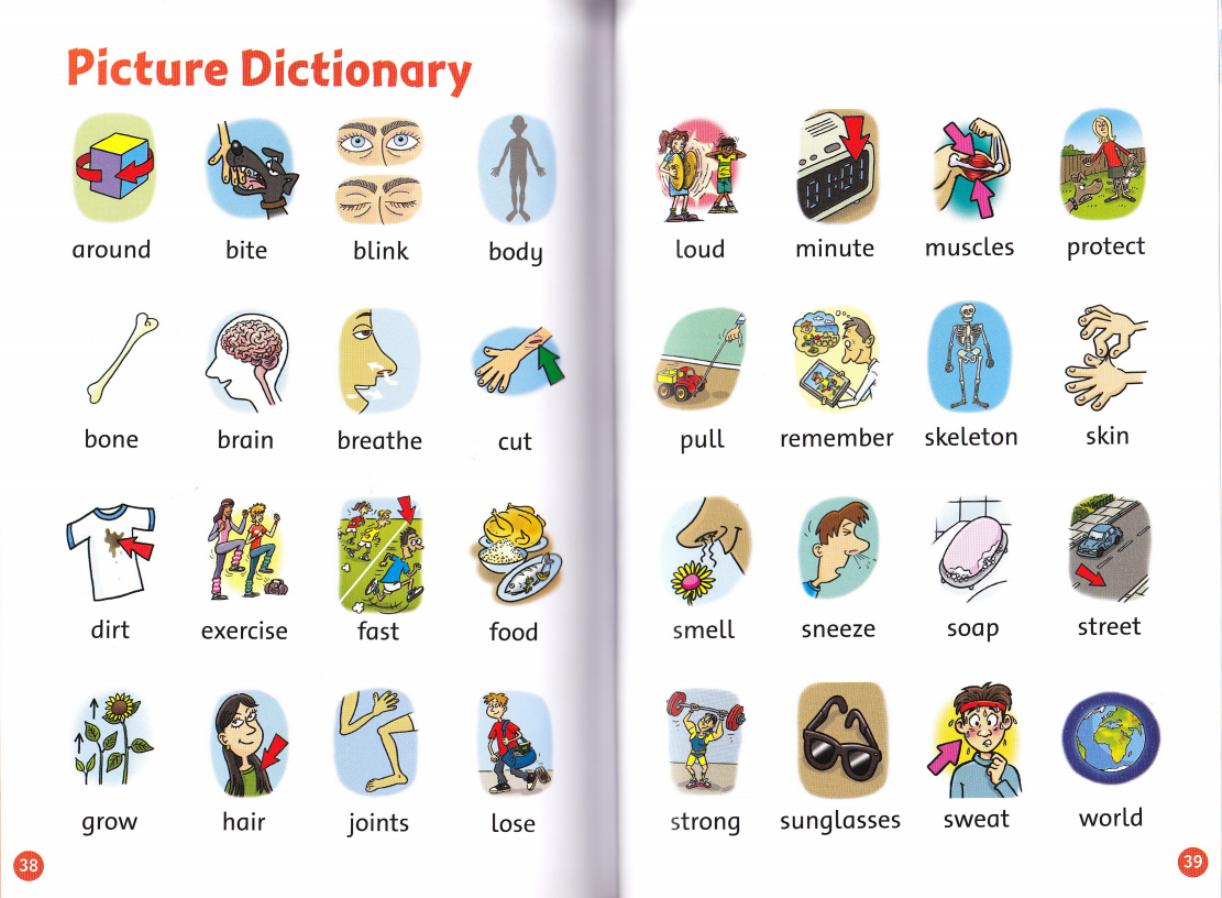 Picture Dictionary