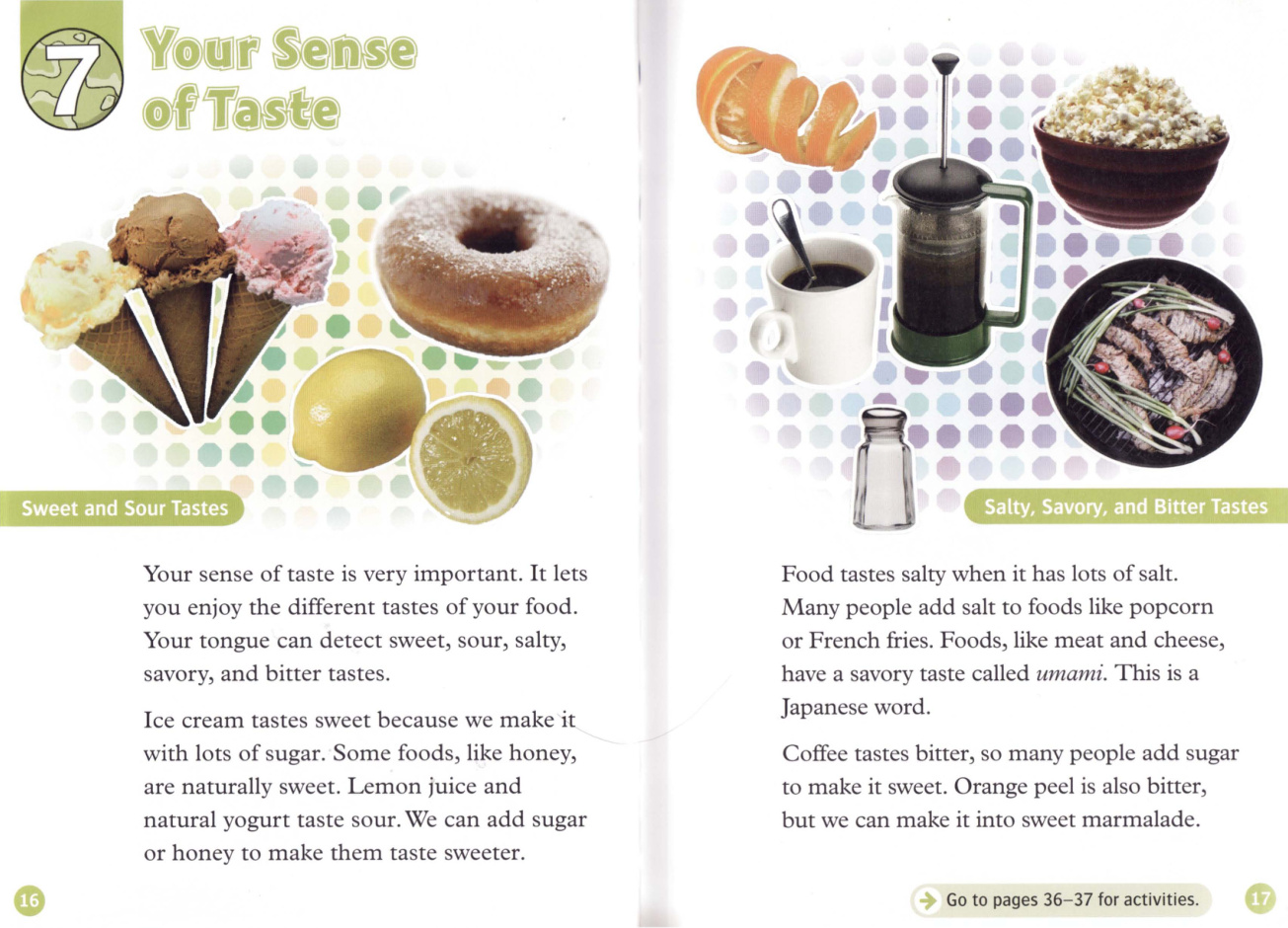 Your Sense of Taste