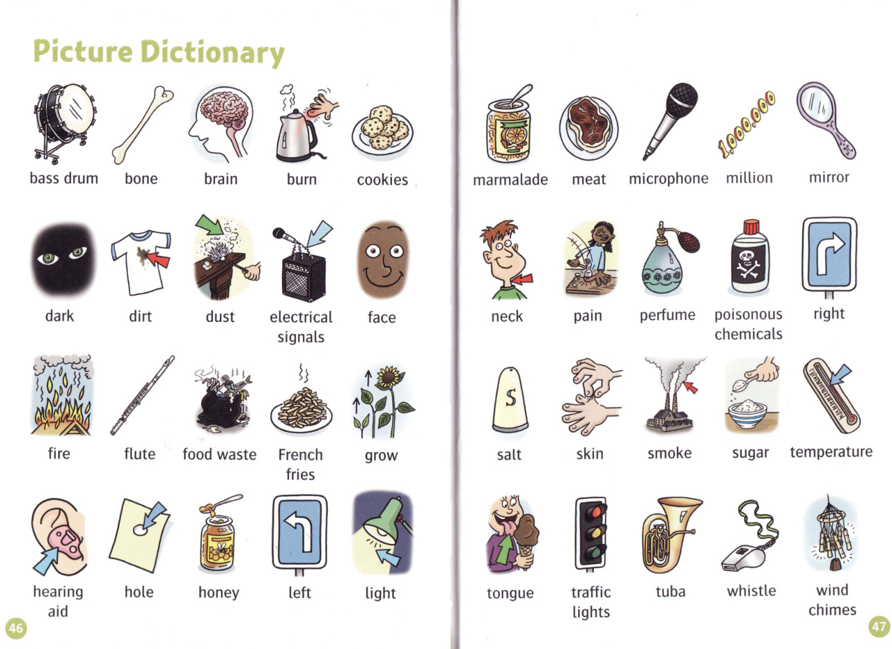 Picture Dictionary